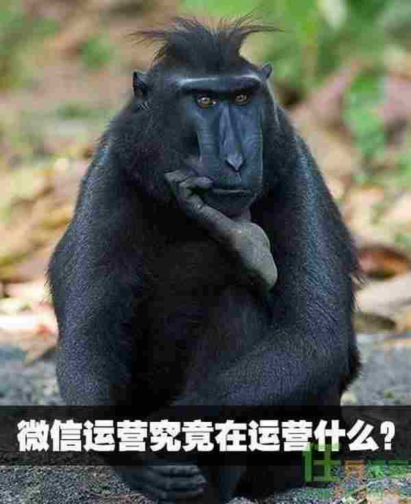 微信运营究竟在运营什么?