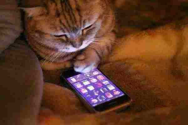 APP留存:请给用户一个打开app 的理由