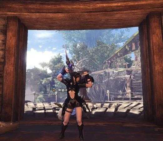 《怪物猎人:世界》PC版1.1版本各种类武器推荐