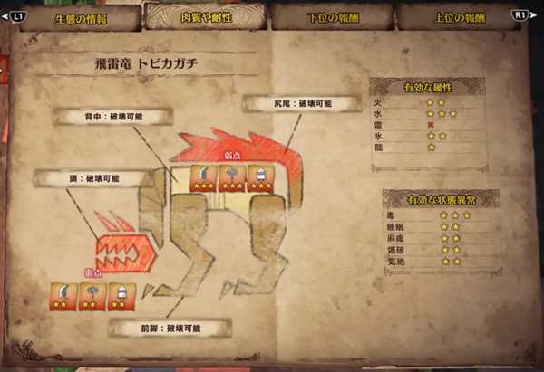 《怪物猎人:世界》飞雷龙详细打法心得 飞雷龙怎么打