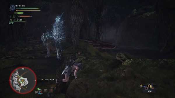 《怪物猎人:世界》飞雷龙详细打法心得 飞雷龙怎么打
