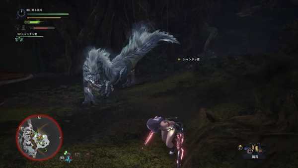 《怪物猎人:世界》飞雷龙详细打法心得 飞雷龙怎么打