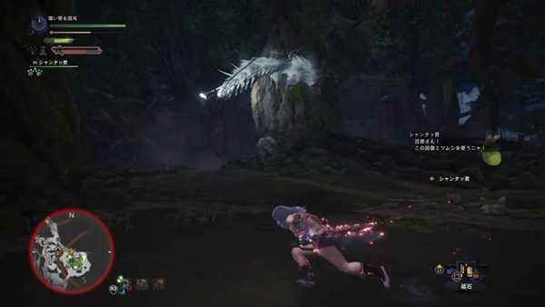 《怪物猎人:世界》飞雷龙详细打法心得 飞雷龙怎么打