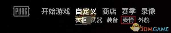 《绝地求生》雪地版本新增表情一览