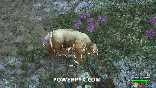 《孤岛惊魂:新曙光》狼獾狩猎位置指南