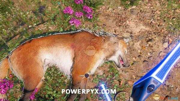 《孤岛惊魂:新曙光》狼狩猎位置指南