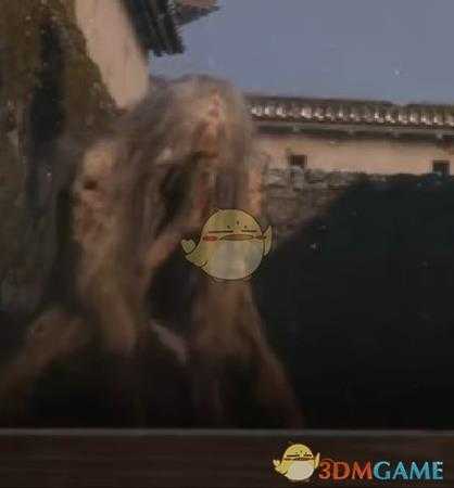 《只狼:影逝二度》支线人物一览