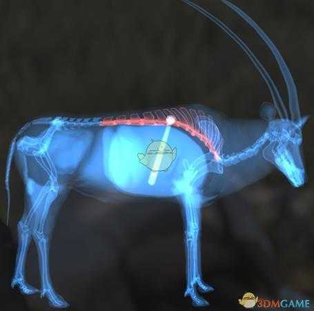 《猎人:荒野的呼唤》南非剑羚步枪速杀攻略