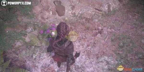 《瘟疫传说:无罪》第十一章活着全收集品位置指南