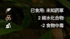 《绿色地狱》蔊菜食用效果一览