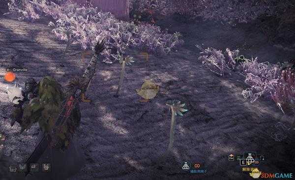 《怪物猎人:世界》陆珊瑚台地可捕捉生物汇总