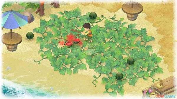 《哆啦A梦:大雄的牧场物语》全季节可采集物品分享