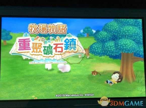 《牧场物语:重聚矿石镇》草莓种子获取方式