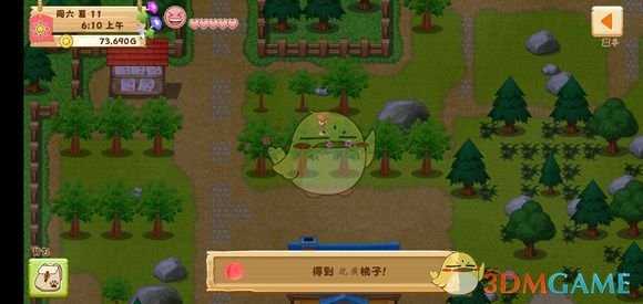 《牧场物语:希望之光》果树优质介绍