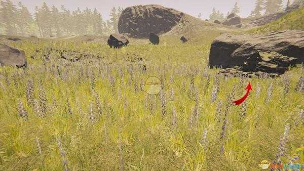 《森林》死亡洞穴(Dead cave)武士刀洞穴内部地图及盘点