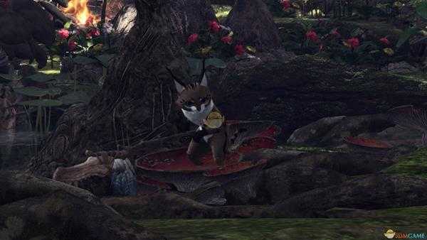 《怪物猎人:世界》森林虫笼族观察委托金牌指南