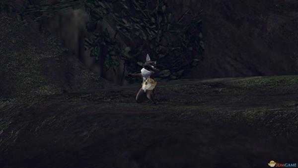 《怪物猎人:世界》森林虫笼族观察委托金牌指南