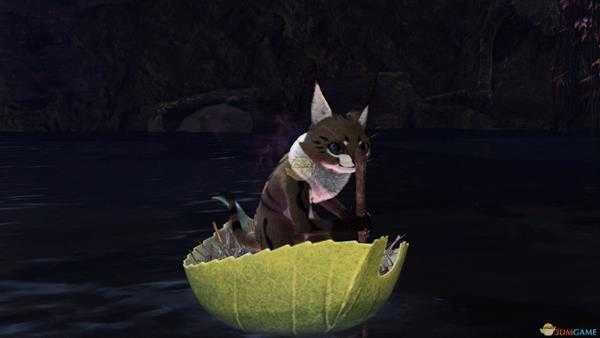 《怪物猎人:世界》森林虫笼族观察委托金牌指南