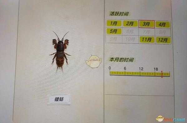 《集合啦!动物森友会》蝼蛄捕捉心得分享