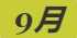 《动物森友会》跳蚤图鉴