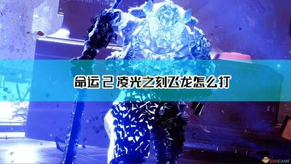 《命运2:凌光之刻》飞龙打法介绍