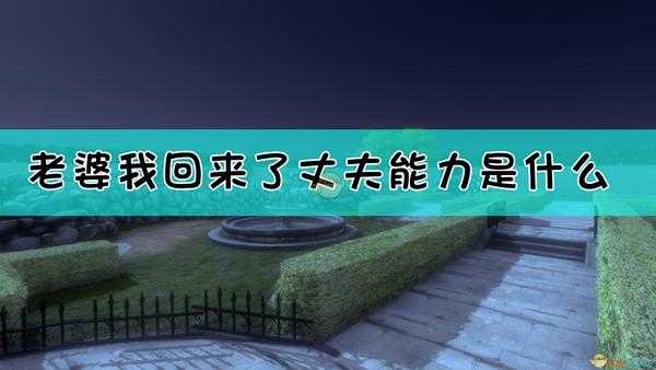 《老婆,我回来了》丈夫角色能力介绍