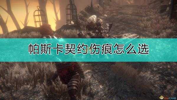 《帕斯卡契约:终极版》伤痕选择心得