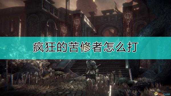 《帕斯卡契约:终极版》疯狂的苦修者打法心得