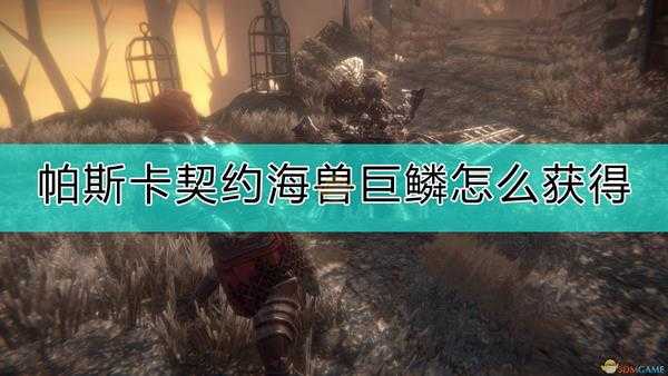 《帕斯卡契约:终极版》海兽巨鳞获得方式