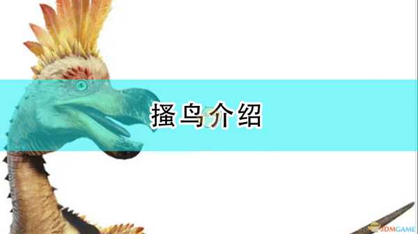 《怪物猎人:崛起》搔鸟介绍
