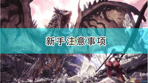 《怪物猎人:崛起》新手注意事项