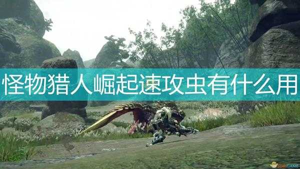 《怪物猎人:崛起》速攻虫作用效果介绍