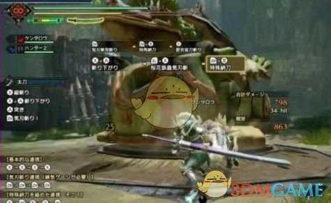 《怪物猎人:崛起》樱花与登龙伤害对比解析