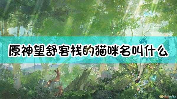 《原神》「望舒客栈」的猫咪名叫什么?