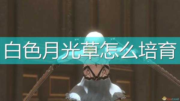 《尼尔:伪装者》白色月光草最佳培育方案介绍