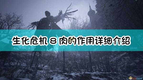 《生化危机8:村庄》肉的作用详细介绍