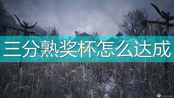 《生化危机8:村庄》三分熟奖杯达成心得分享