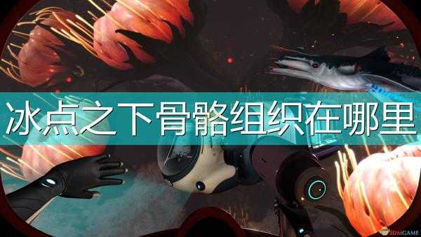 《深海迷航:冰点之下》骨骼组织位置介绍
