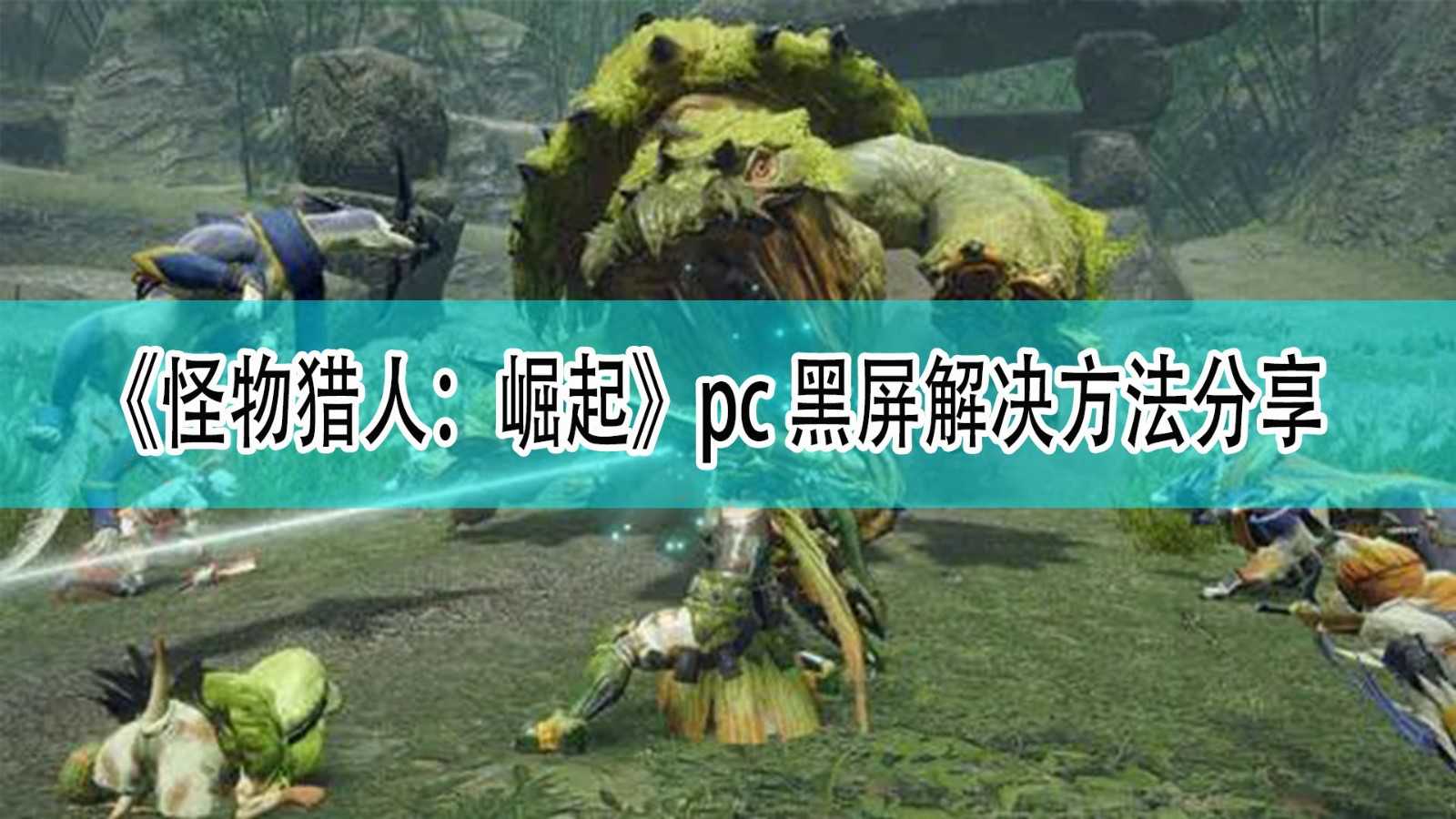 《怪物猎人:崛起》pc版黑屏解决方法