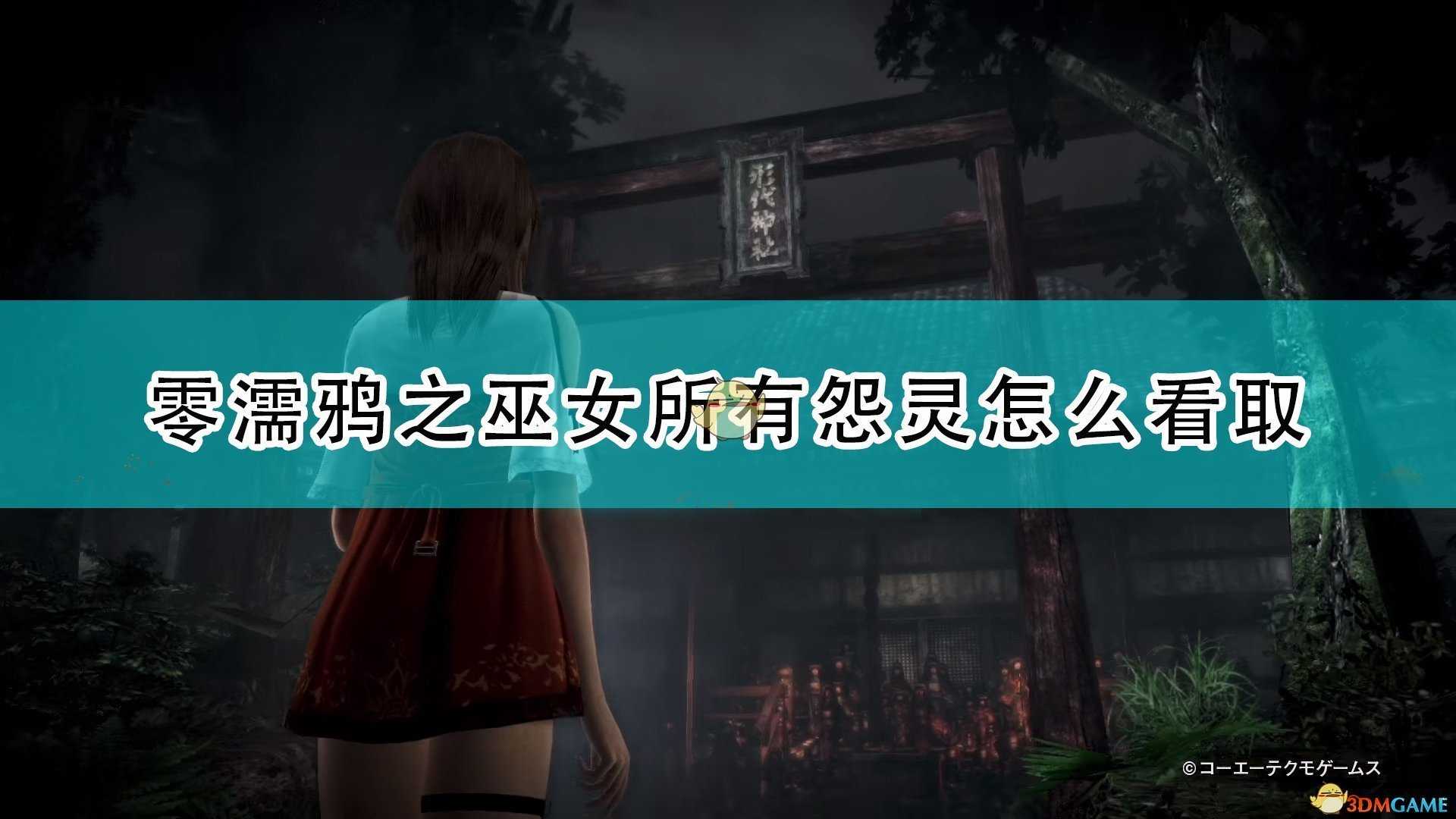 《零:濡鸦之巫女》全怨灵看取方法介绍
