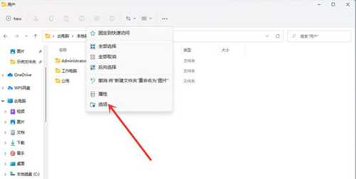 windows11系统文件后缀名怎么显示？(windows11如何显示文件扩展名)