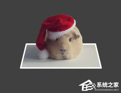 PPT如何制作3D视觉效果图片?PPT制作3D效果图的方法