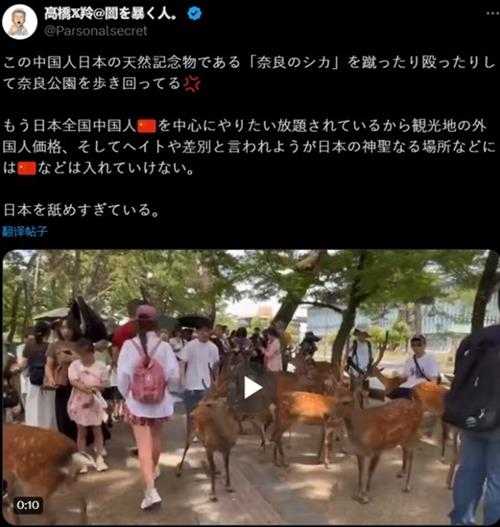 日本博主称“中国游客脚踢奈良鹿” 但被评论区打脸
