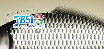 Photoshop精致鼠绘实例:逼真的鱼