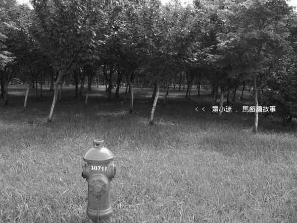 Photoshop9.0 照片丢失色彩的美丽