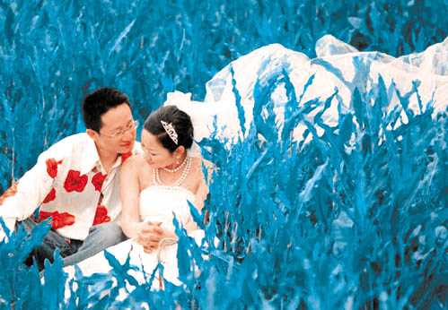 Photoshop调色:婚纱照片的艺术色彩