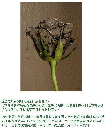 Photoshop设计打造出一朵创意的水玫瑰