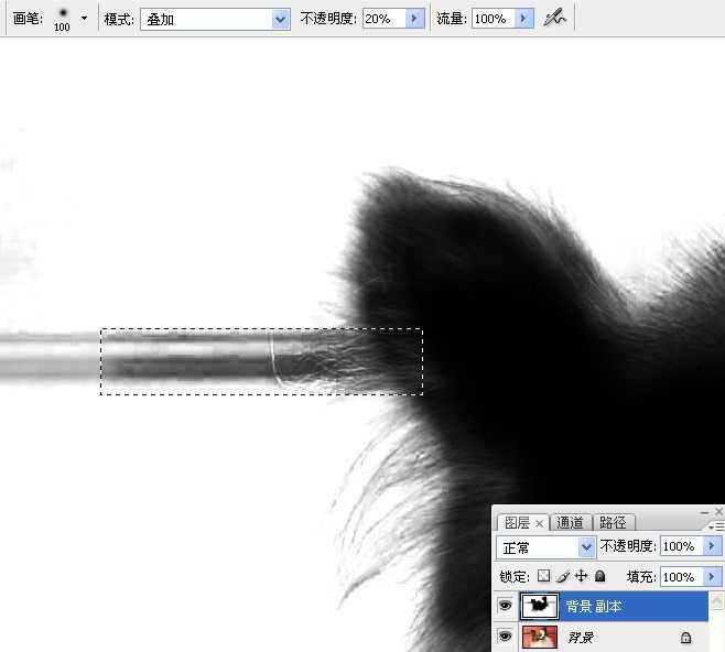 ps利用通道混合器及画笔抠出毛发较多的宠物狗