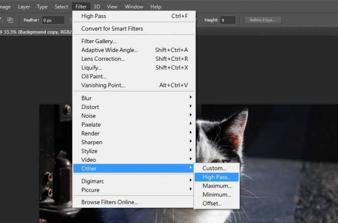 PS利用HIGH PASS FILTER高效无损地锐利猫咪照片