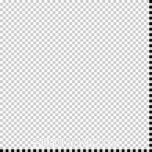 Photoshop分格化照片教程